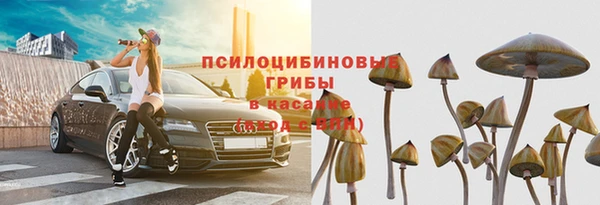 первитин Белокуриха