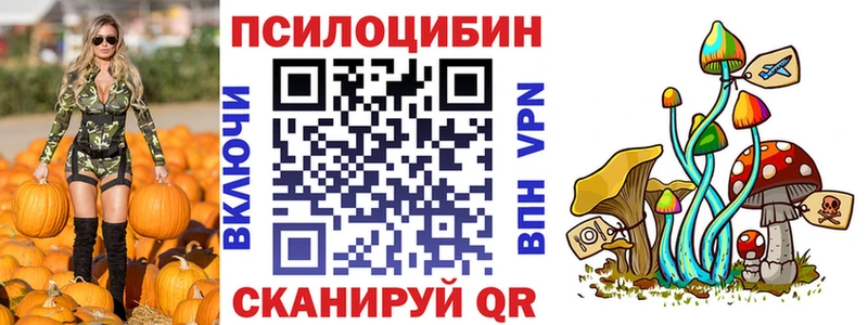 МЕГА как зайти  хочу   Кирсанов  Галлюциногенные грибы мухоморы 